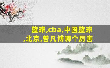 篮球,cba,中国篮球,北京,曾凡博哪个厉害