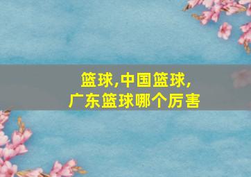 篮球,中国篮球,广东篮球哪个厉害