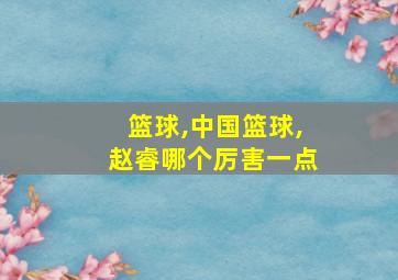 篮球,中国篮球,赵睿哪个厉害一点