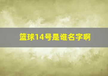 篮球14号是谁名字啊