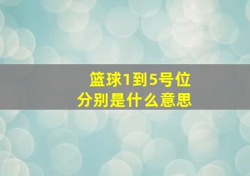 篮球1到5号位分别是什么意思