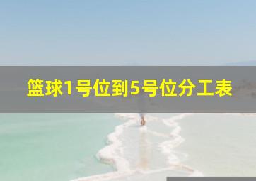 篮球1号位到5号位分工表