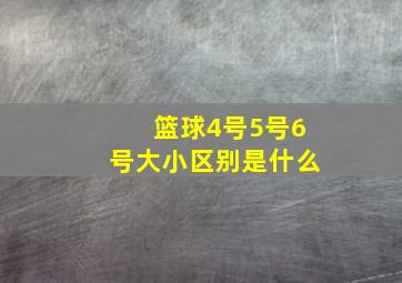 篮球4号5号6号大小区别是什么