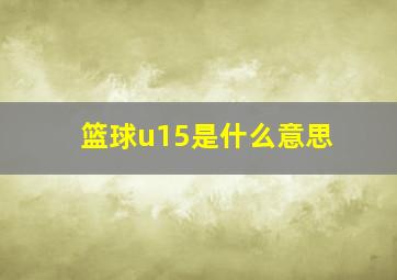 篮球u15是什么意思