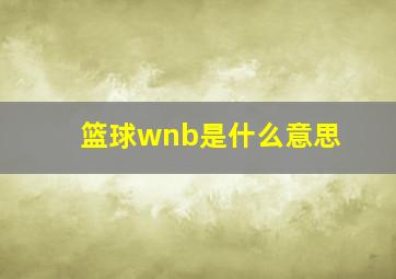 篮球wnb是什么意思