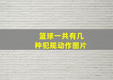 篮球一共有几种犯规动作图片