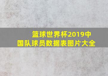 篮球世界杯2019中国队球员数据表图片大全