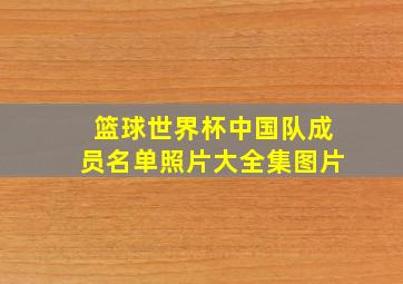 篮球世界杯中国队成员名单照片大全集图片