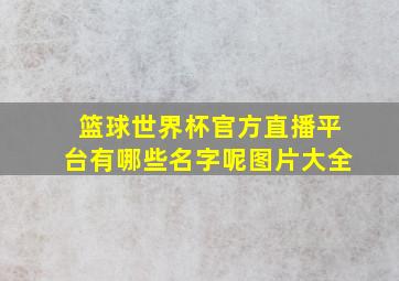 篮球世界杯官方直播平台有哪些名字呢图片大全