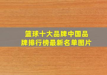 篮球十大品牌中国品牌排行榜最新名单图片