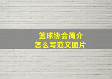 篮球协会简介怎么写范文图片