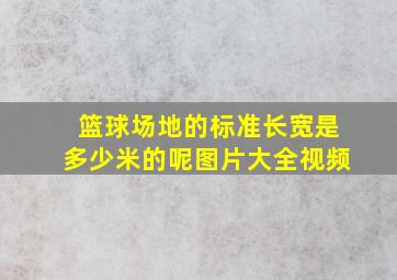 篮球场地的标准长宽是多少米的呢图片大全视频