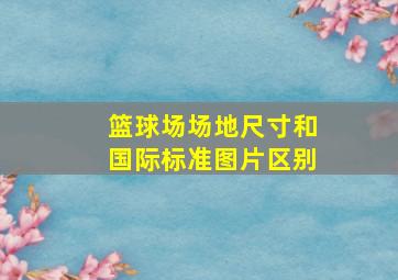 篮球场场地尺寸和国际标准图片区别