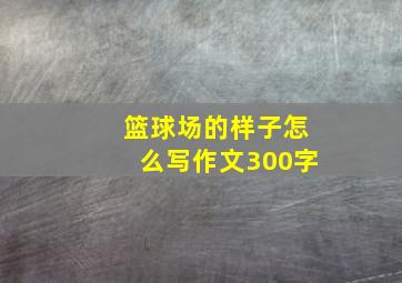 篮球场的样子怎么写作文300字