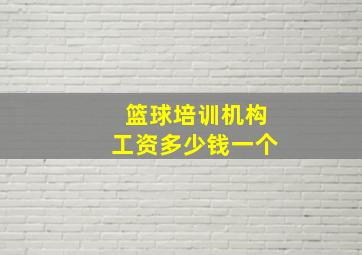 篮球培训机构工资多少钱一个