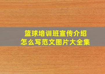 篮球培训班宣传介绍怎么写范文图片大全集