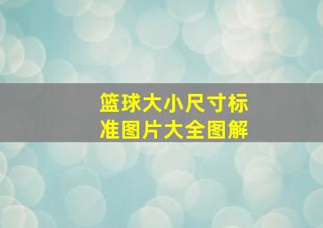 篮球大小尺寸标准图片大全图解