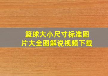 篮球大小尺寸标准图片大全图解说视频下载