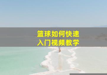 篮球如何快速入门视频教学