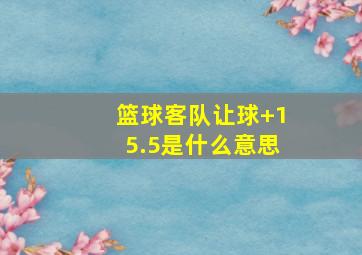 篮球客队让球+15.5是什么意思