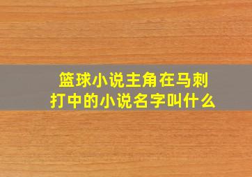 篮球小说主角在马刺打中的小说名字叫什么