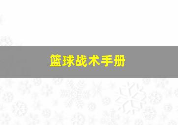 篮球战术手册