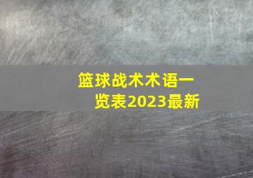 篮球战术术语一览表2023最新