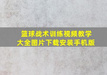 篮球战术训练视频教学大全图片下载安装手机版