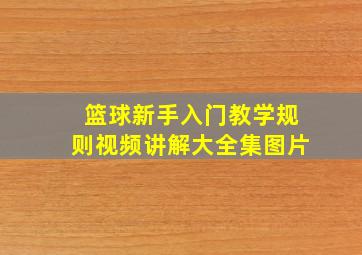 篮球新手入门教学规则视频讲解大全集图片