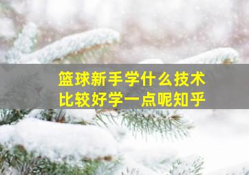 篮球新手学什么技术比较好学一点呢知乎