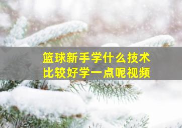 篮球新手学什么技术比较好学一点呢视频