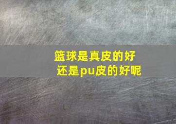 篮球是真皮的好还是pu皮的好呢