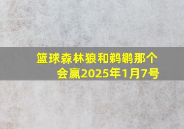 篮球森林狼和鹈鹕那个会赢2025年1月7号