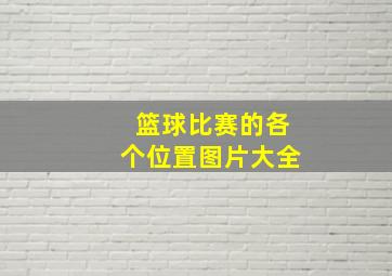 篮球比赛的各个位置图片大全