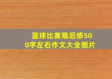 篮球比赛观后感500字左右作文大全图片