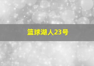 篮球湖人23号