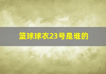 篮球球衣23号是谁的