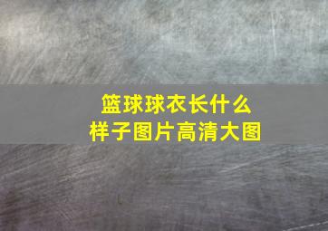 篮球球衣长什么样子图片高清大图