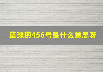 篮球的456号是什么意思呀