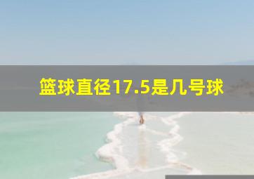 篮球直径17.5是几号球