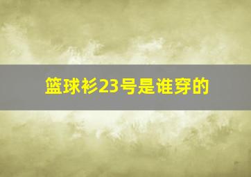 篮球衫23号是谁穿的