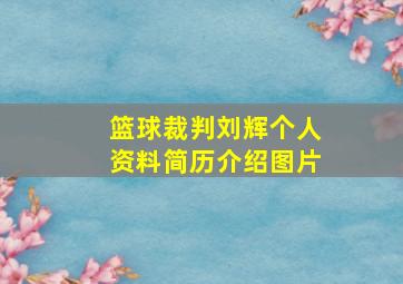 篮球裁判刘辉个人资料简历介绍图片