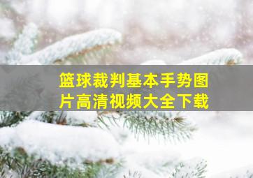 篮球裁判基本手势图片高清视频大全下载