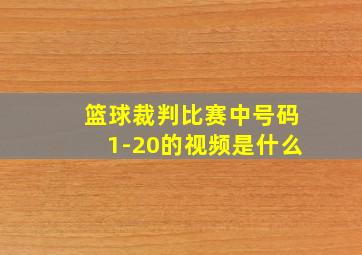 篮球裁判比赛中号码1-20的视频是什么