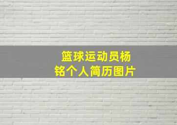 篮球运动员杨铭个人简历图片