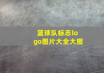 篮球队标志logo图片大全大图