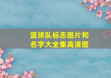 篮球队标志图片和名字大全集高清图