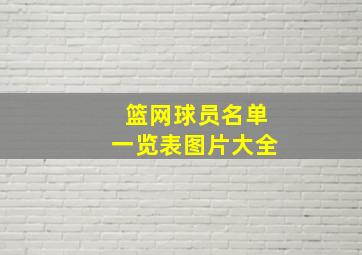 篮网球员名单一览表图片大全