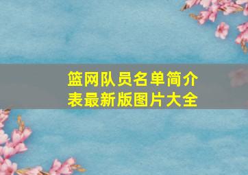 篮网队员名单简介表最新版图片大全