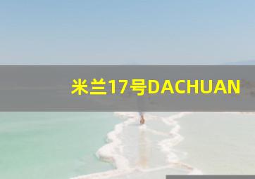 米兰17号DACHUAN